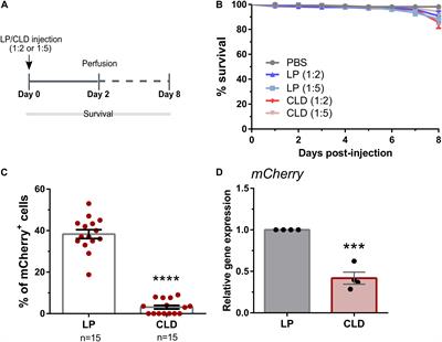 Use of Clodronate Liposomes to Deplete Phagocytic Immune Cells in Drosophila melanogaster and Aedes aegypti